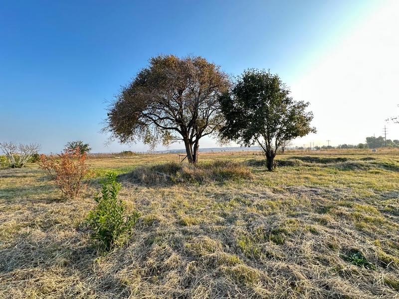 0 Bedroom Property for Sale in Doornkuil A H Gauteng