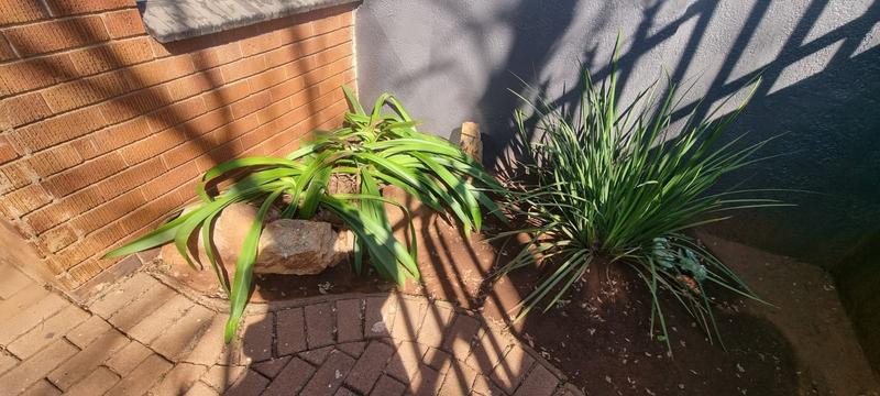 To Let 1 Bedroom Property for Rent in Primrose Hill Gauteng