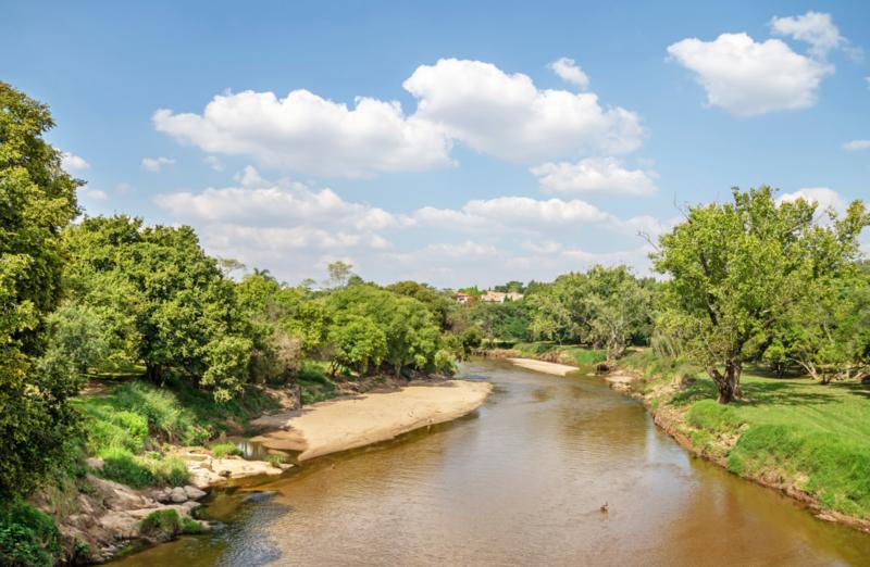 4 Bedroom Property for Sale in Dainfern Ridge Gauteng