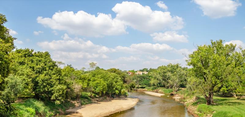 4 Bedroom Property for Sale in Dainfern Ridge Gauteng