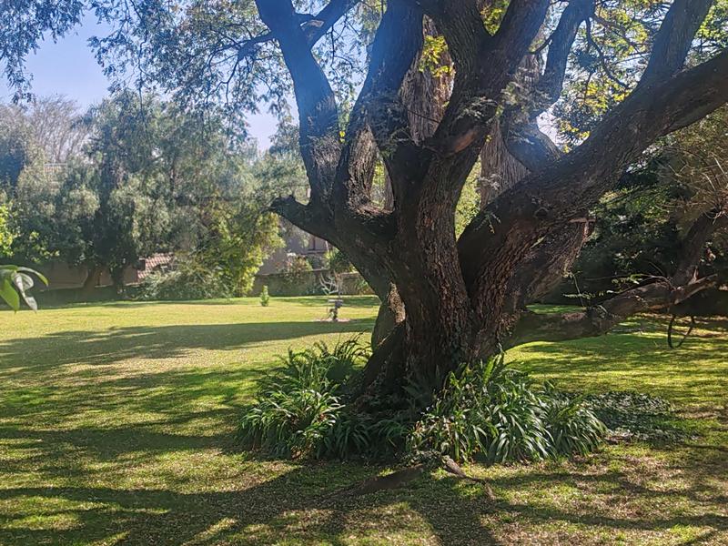 To Let 3 Bedroom Property for Rent in Bedfordview Gauteng