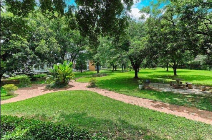 To Let 2 Bedroom Property for Rent in Benmore Gardens Gauteng