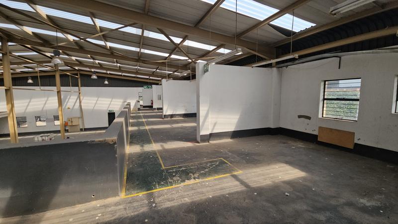 To Let Commercial Property for Rent in Randjespark Gauteng