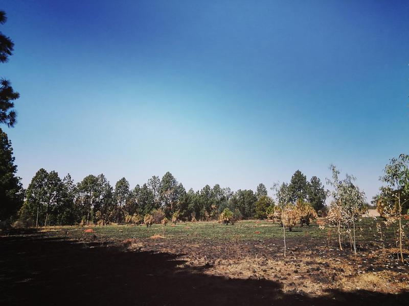 0 Bedroom Property for Sale in Walkerville Gauteng