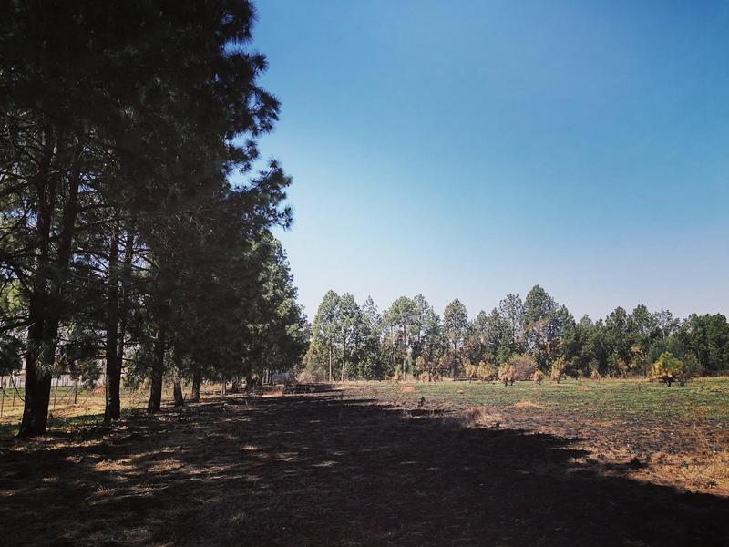 0 Bedroom Property for Sale in Walkerville Gauteng