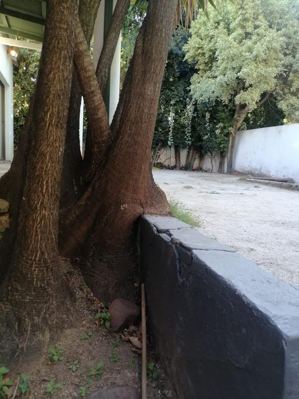 2 Bedroom Property for Sale in Westdene Gauteng