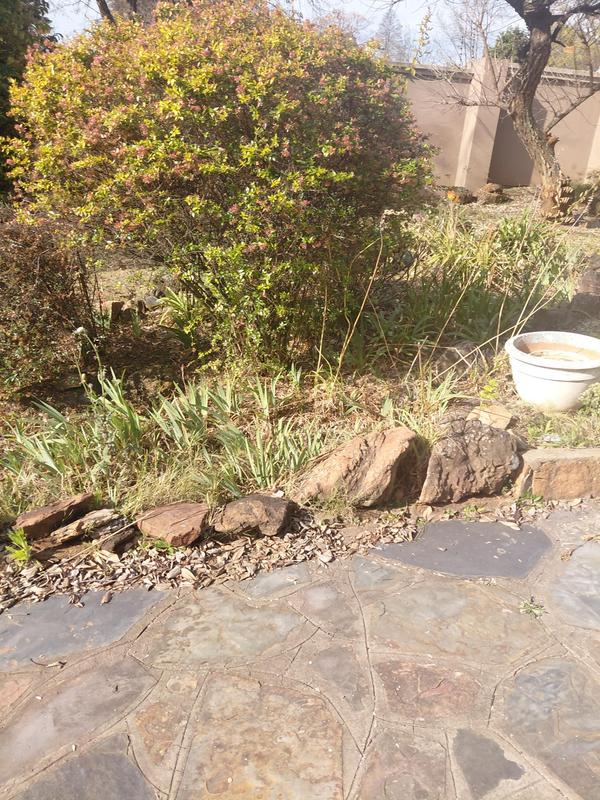 To Let 4 Bedroom Property for Rent in Emmarentia Gauteng