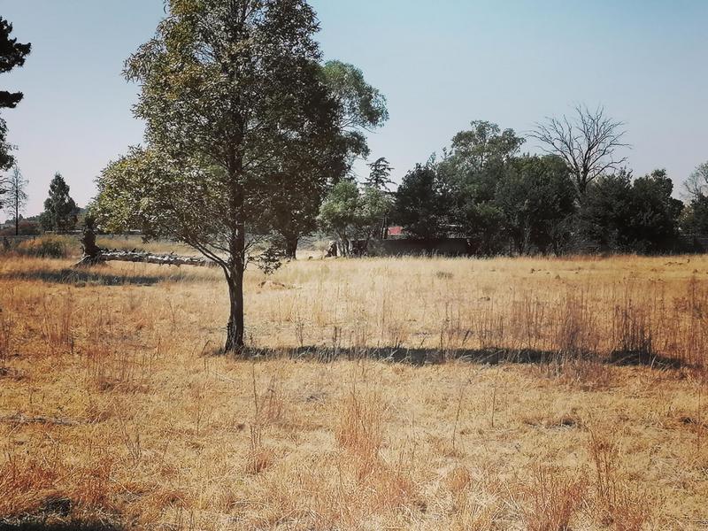 0 Bedroom Property for Sale in Homestead Apple Orchards Gauteng