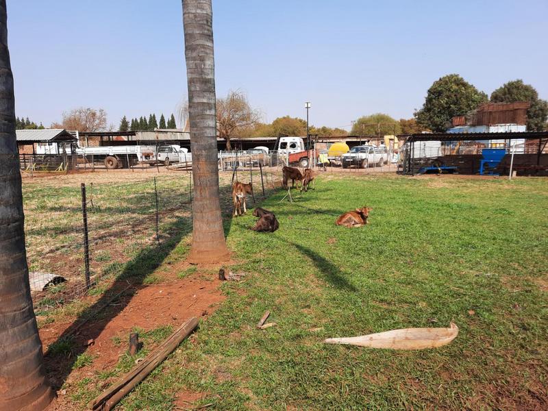 To Let 4 Bedroom Property for Rent in Rietvlei View Gauteng