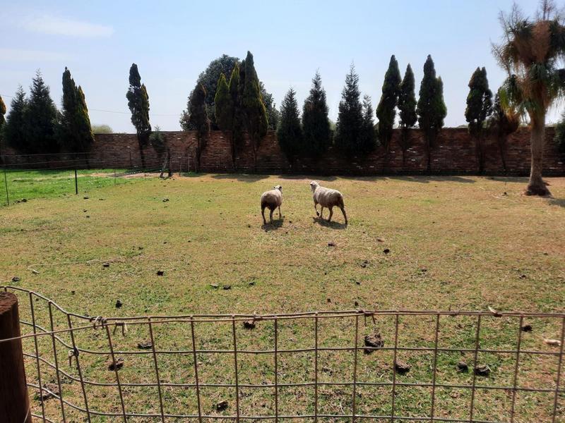 To Let 4 Bedroom Property for Rent in Rietvlei View Gauteng