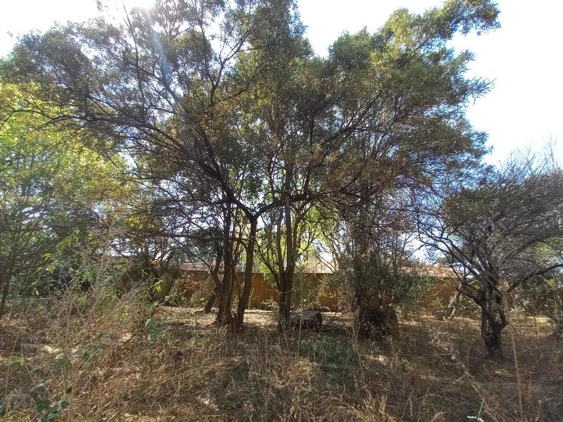10 Bedroom Property for Sale in Raslouw A H Gauteng