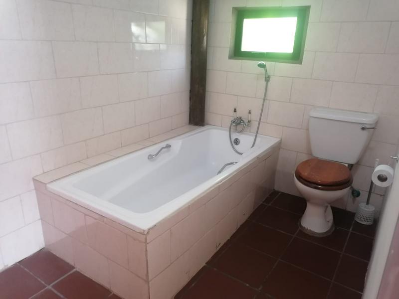 To Let 1 Bedroom Property for Rent in Homestead Gauteng