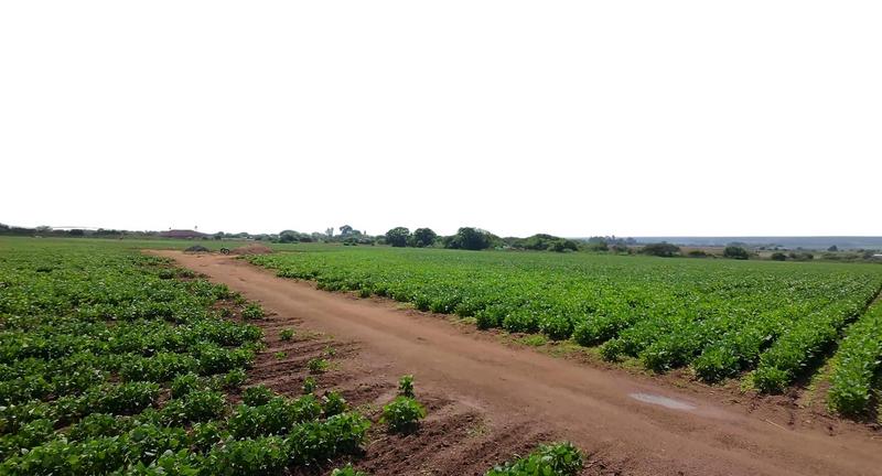 0 Bedroom Property for Sale in Vasfontein Gauteng