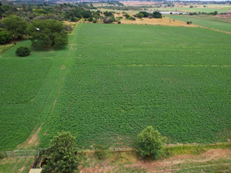 8 Bedroom Property for Sale in Vasfontein Gauteng
