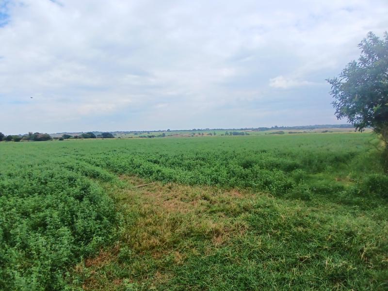 8 Bedroom Property for Sale in Vasfontein Gauteng