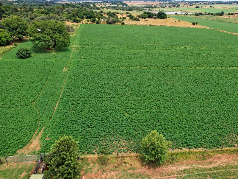 4 Bedroom Property for Sale in Vasfontein Gauteng