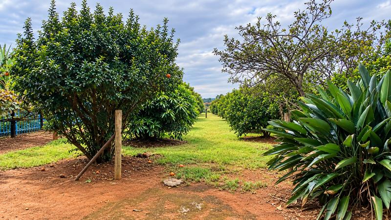 4 Bedroom Property for Sale in Vasfontein Gauteng
