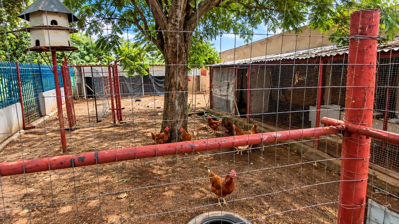 4 Bedroom Property for Sale in Vasfontein Gauteng