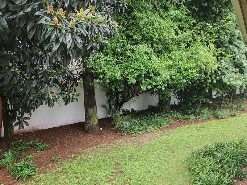 To Let 2 Bedroom Property for Rent in Bedfordview Gauteng