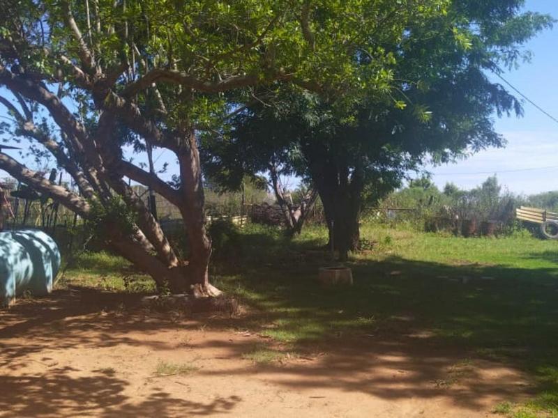 12 Bedroom Property for Sale in Bultfontein A H Gauteng