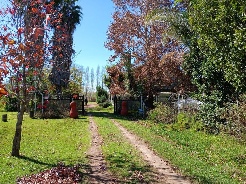 10 Bedroom Property for Sale in Honingneskrans Ah Gauteng