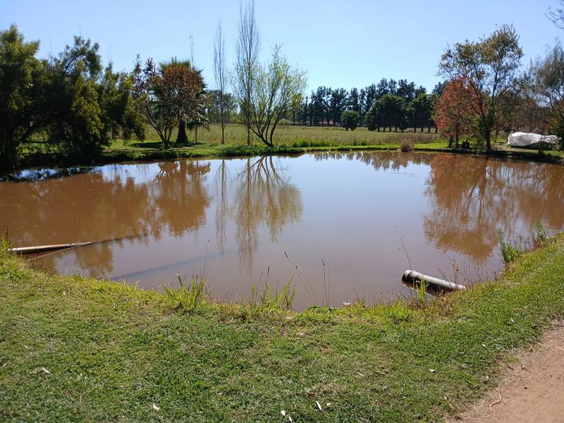 10 Bedroom Property for Sale in Honingneskrans Ah Gauteng