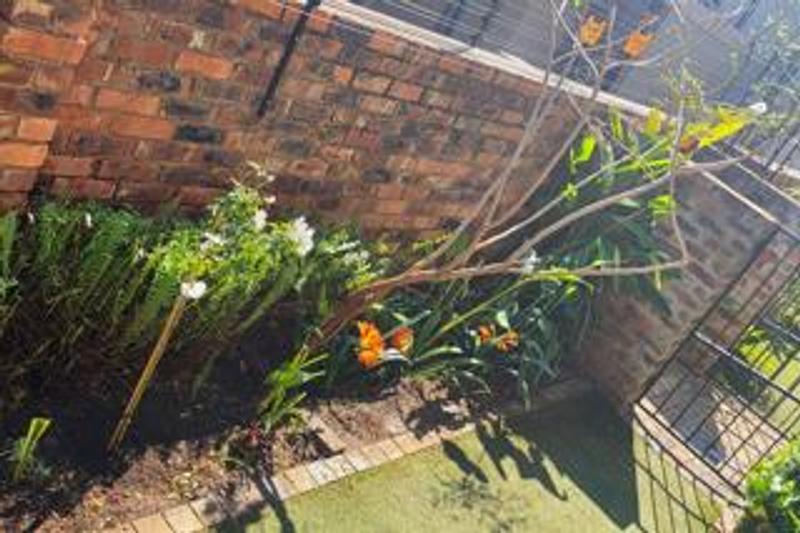 To Let 3 Bedroom Property for Rent in Menlo Park Gauteng