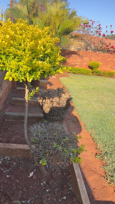 To Let 5 Bedroom Property for Rent in The Orchards Gauteng