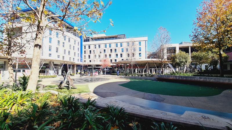 To Let Commercial Property for Rent in Arcadia Gauteng