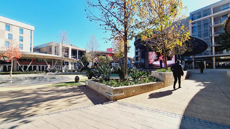 To Let Commercial Property for Rent in Arcadia Gauteng