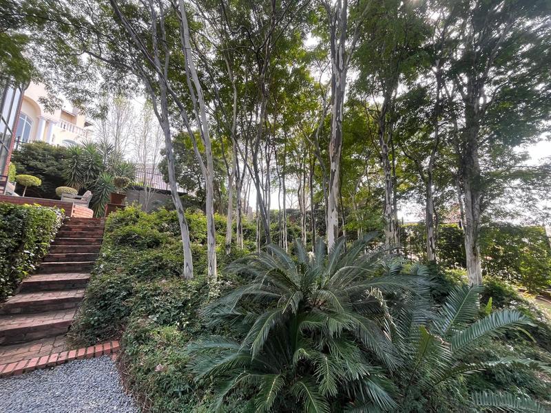 To Let 3 Bedroom Property for Rent in Waterkloof Ridge Gauteng