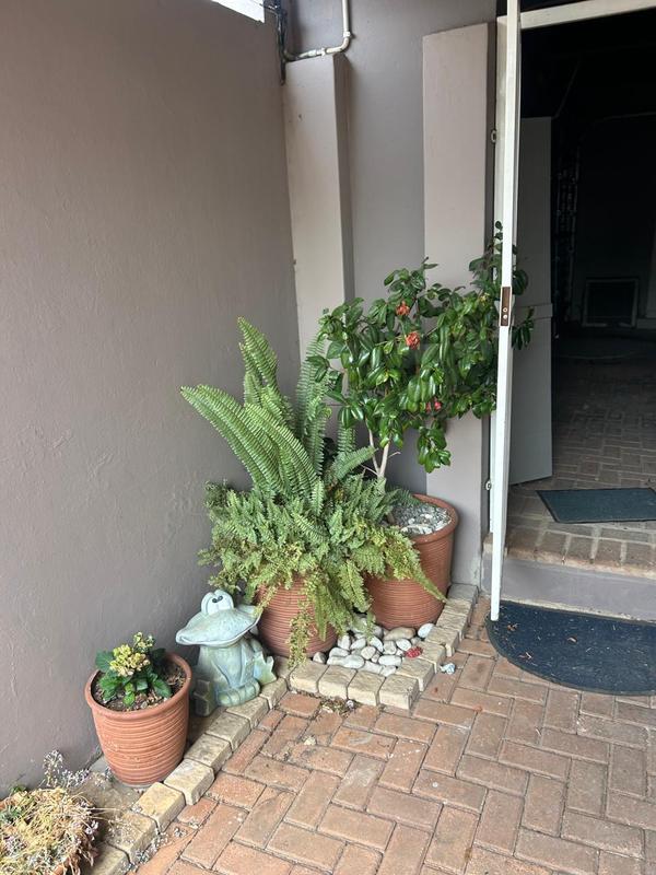 To Let 3 Bedroom Property for Rent in Glenhazel Gauteng