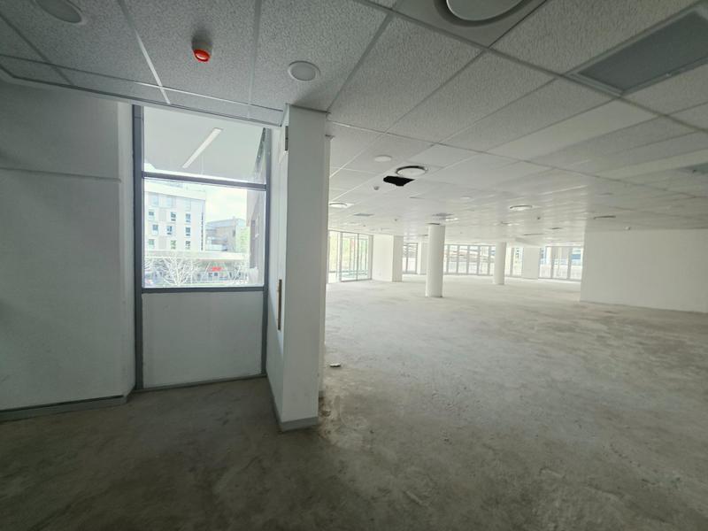 To Let Commercial Property for Rent in Arcadia Gauteng