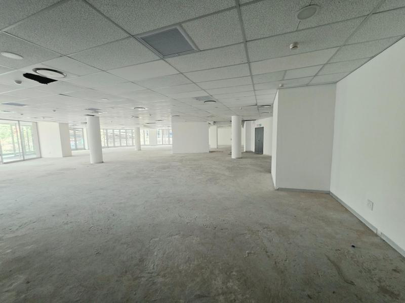 To Let Commercial Property for Rent in Arcadia Gauteng