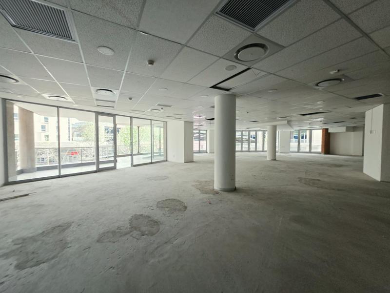 To Let Commercial Property for Rent in Arcadia Gauteng