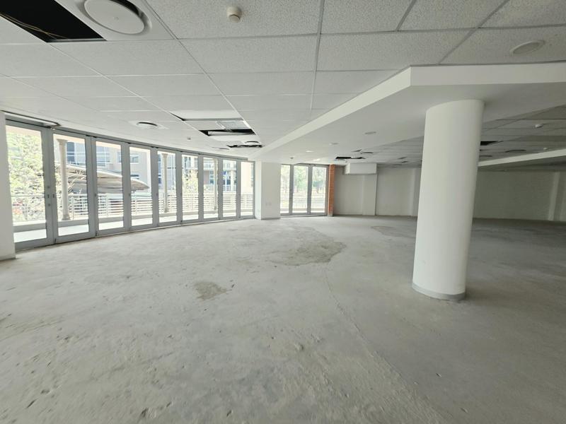 To Let Commercial Property for Rent in Arcadia Gauteng