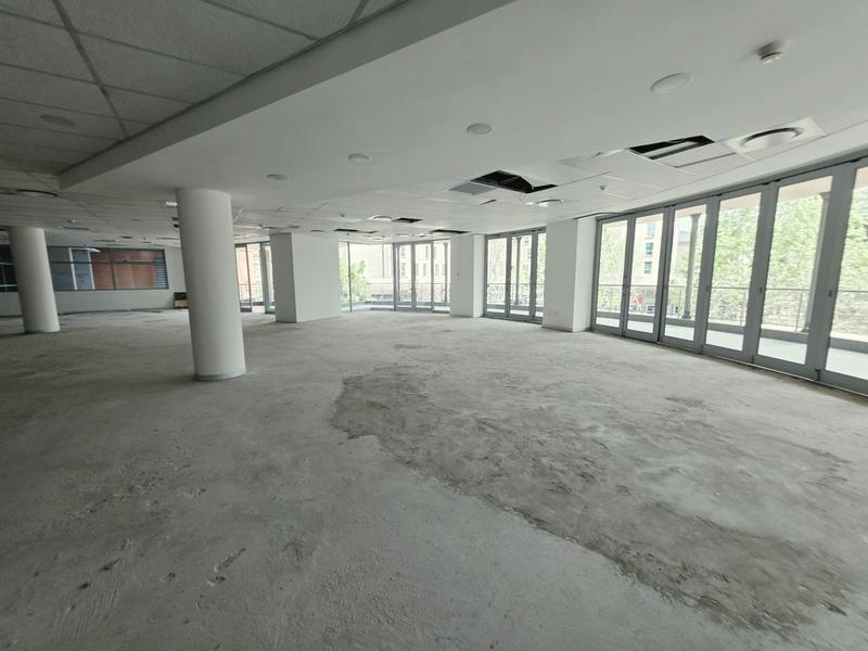 To Let Commercial Property for Rent in Arcadia Gauteng