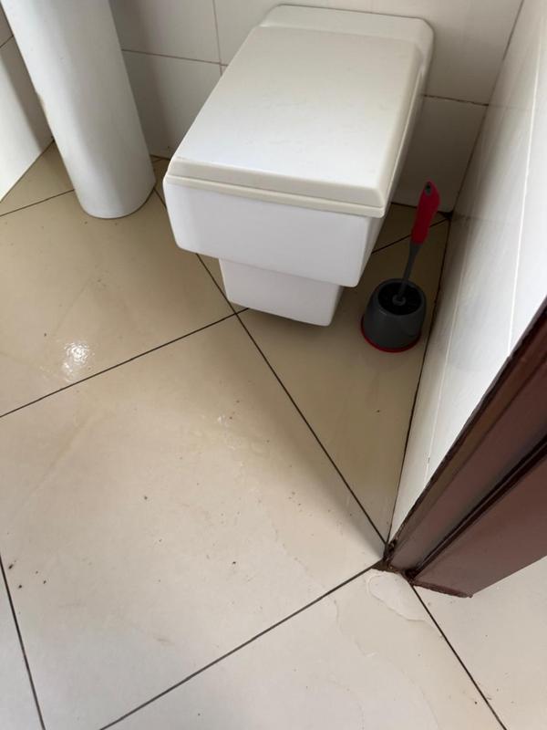 To Let 3 Bedroom Property for Rent in Dawn Park Gauteng