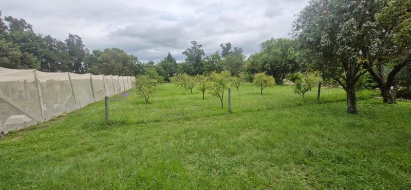 6 Bedroom Property for Sale in Mnandi Gauteng