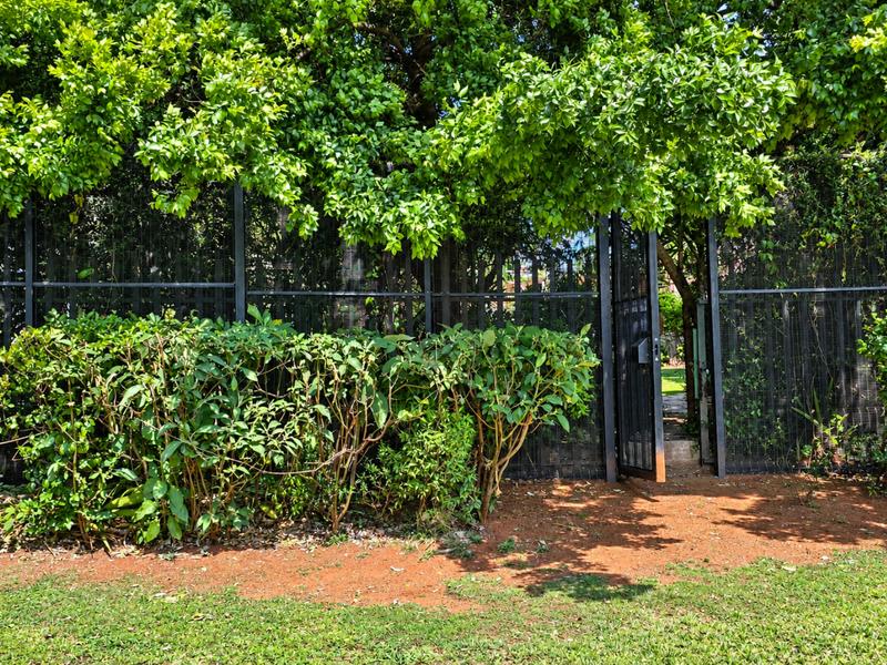 To Let 3 Bedroom Property for Rent in Linden Gauteng