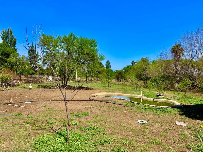 3 Bedroom Property for Sale in Doornpoort Gauteng