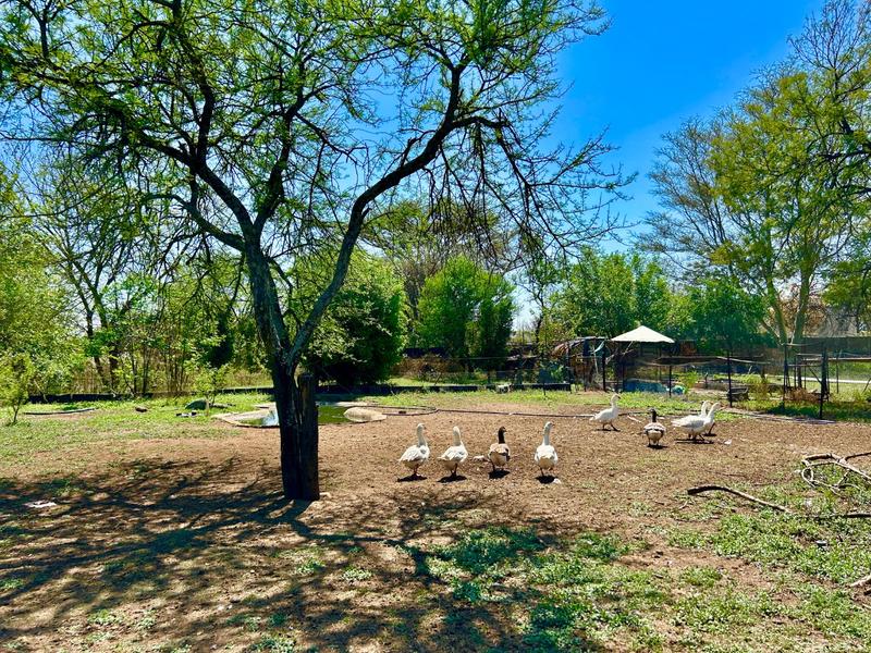 3 Bedroom Property for Sale in Doornpoort Gauteng