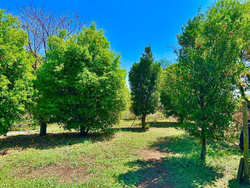 3 Bedroom Property for Sale in Doornpoort Gauteng