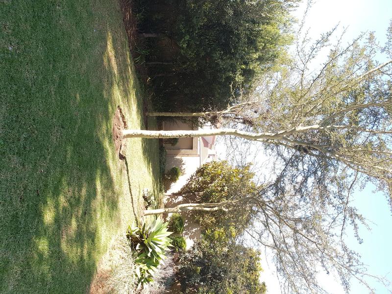 To Let 3 Bedroom Property for Rent in Amorosa Gauteng