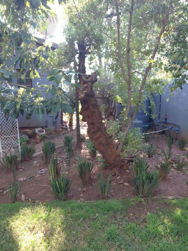 4 Bedroom Property for Sale in Kensington Gauteng