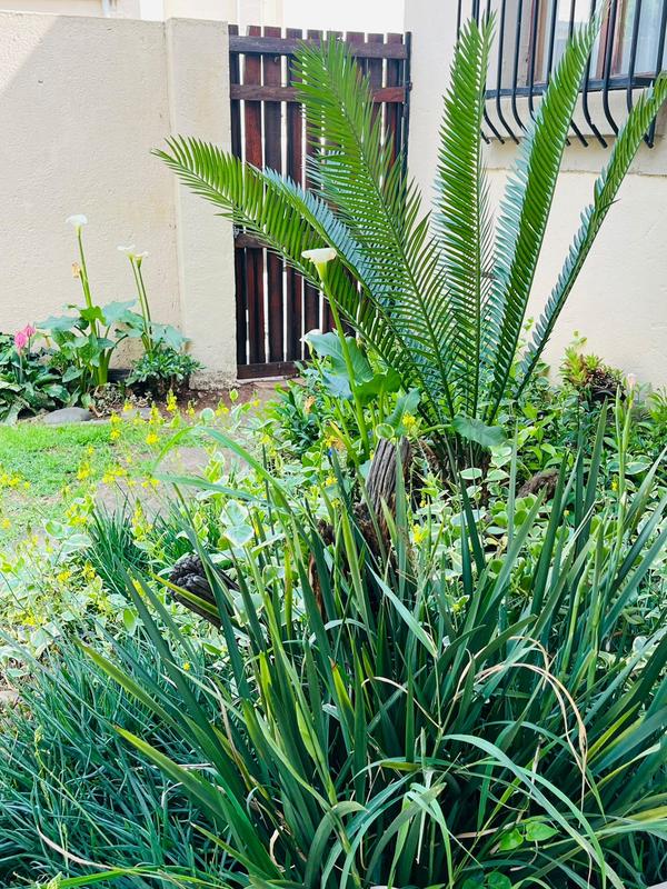 3 Bedroom Property for Sale in Rooihuiskraal North Gauteng