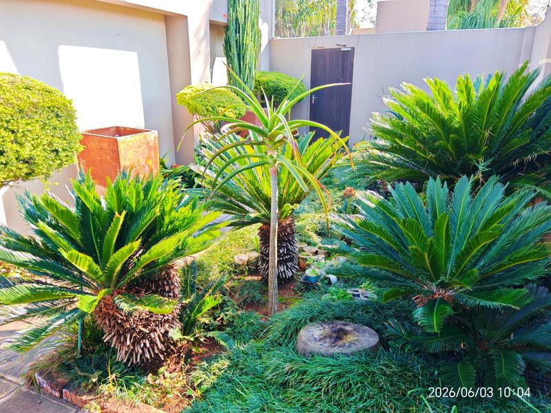 4 Bedroom Property for Sale in Wierda Park Gauteng