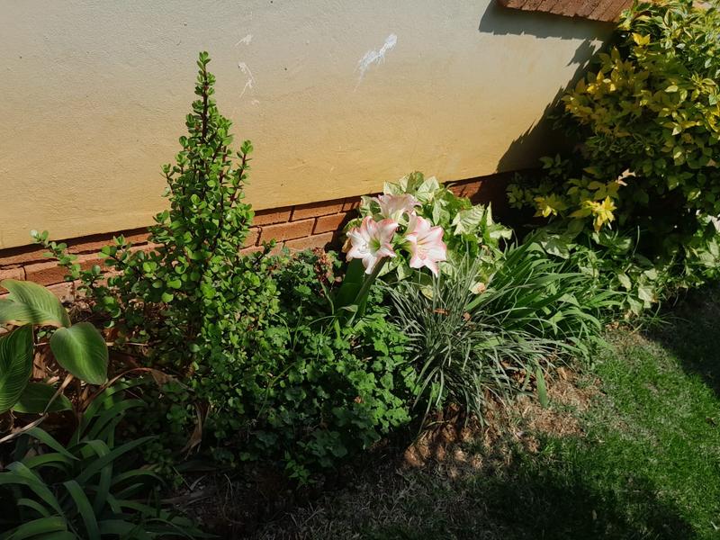 To Let 2 Bedroom Property for Rent in Montana Park Gauteng