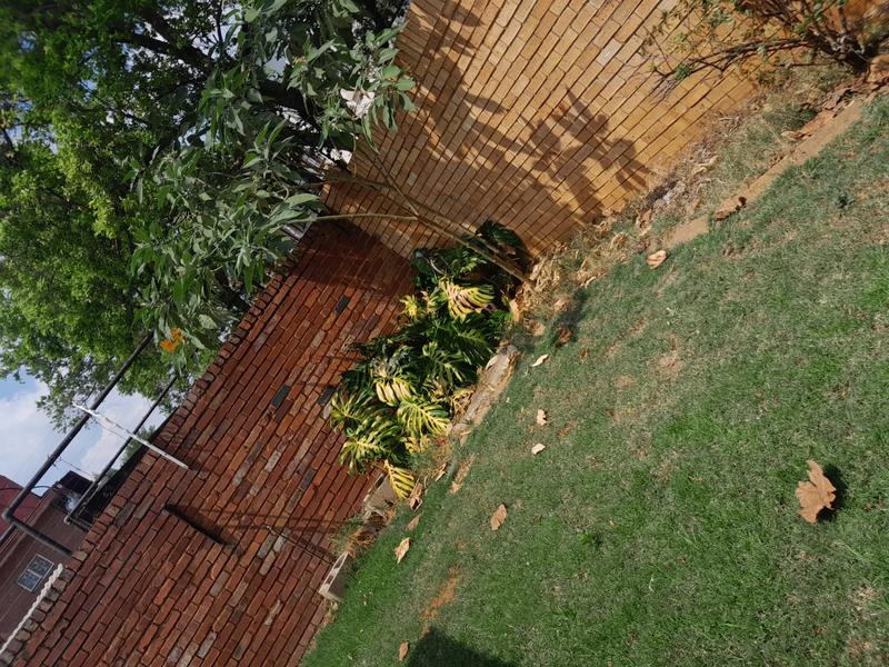 To Let 2 Bedroom Property for Rent in Montana Park Gauteng