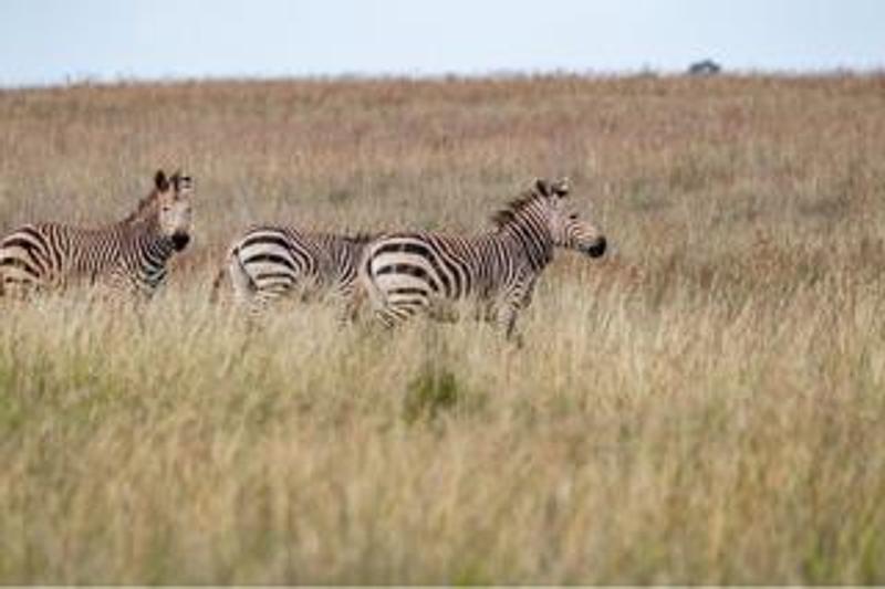 4 Bedroom Property for Sale in Walker Fruit Farms Gauteng